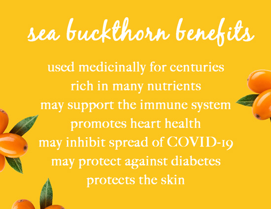Sea Buckthorn Benefits