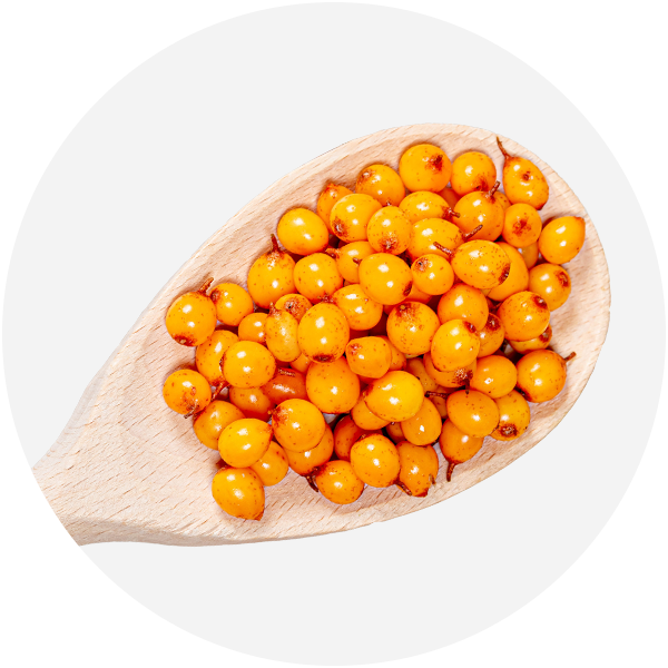 Sea Buckthorn Berries